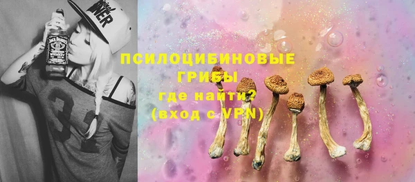 твердый Горно-Алтайск