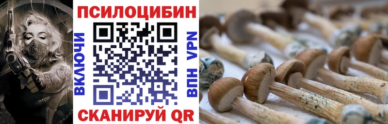Псилоцибиновые грибы мицелий  Купить где  Козельск 